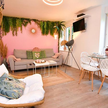 Le Nid Cosy - En Plein Coeur De Selestat Διαμέρισμα Εξωτερικό φωτογραφία