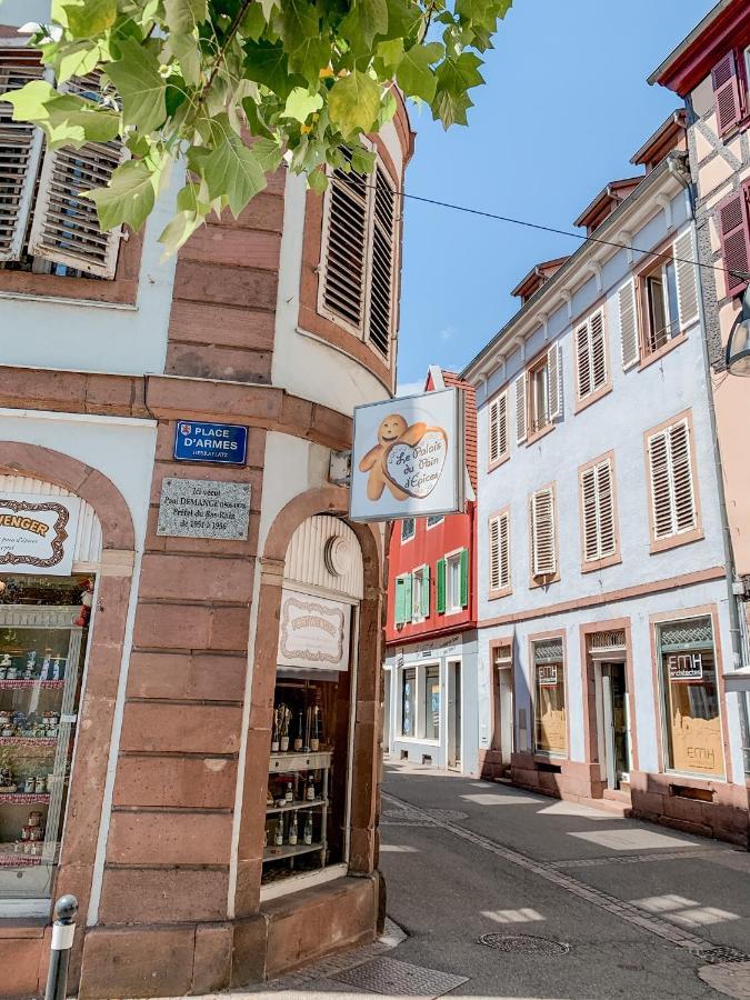 Le Nid Cosy - En Plein Coeur De Selestat Διαμέρισμα Εξωτερικό φωτογραφία
